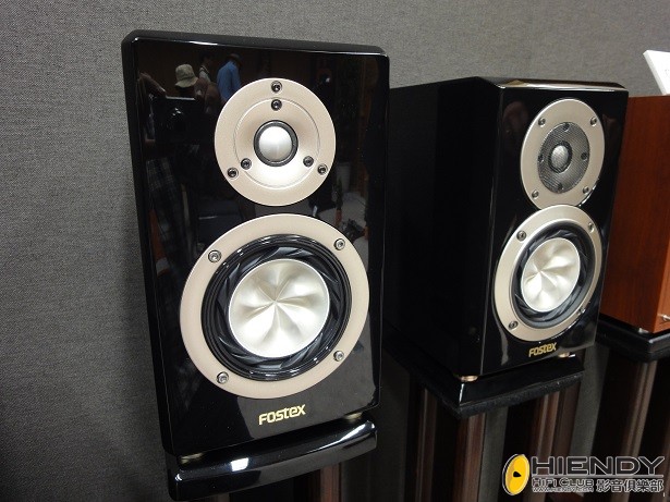 FOSTEX G1001MG.JPG
