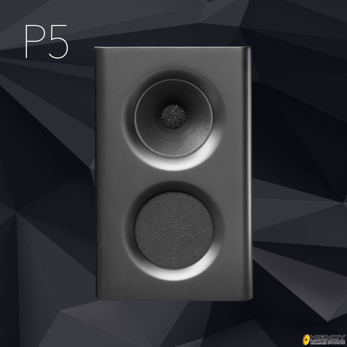 product-loudspeaker-P5-2-1200x1200.jpg