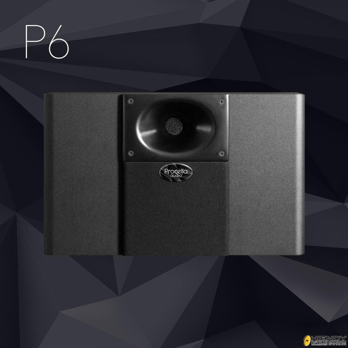 product-loudspeaker-P6-1-1200x1200.jpg
