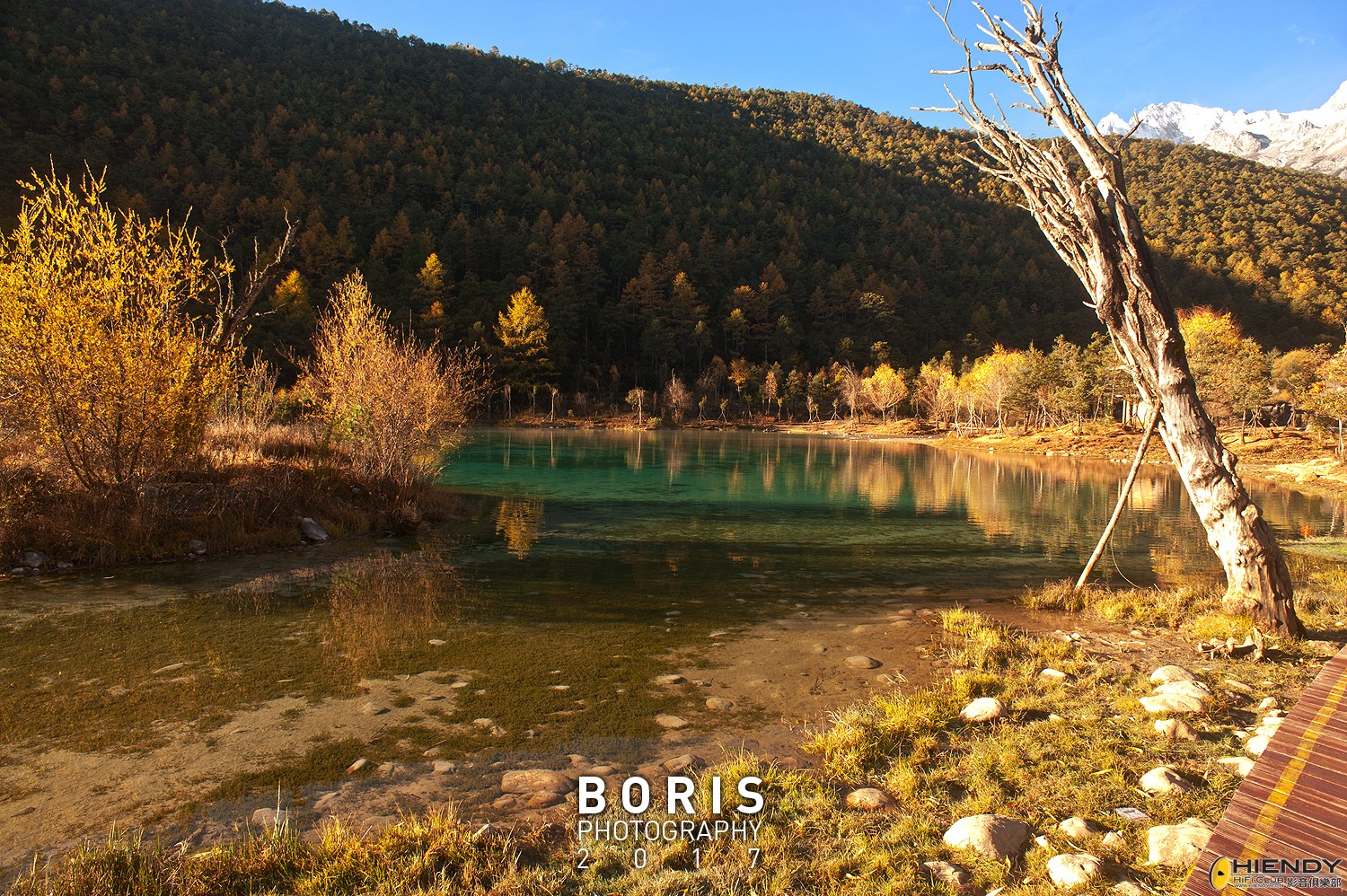 BOR_1619.jpg