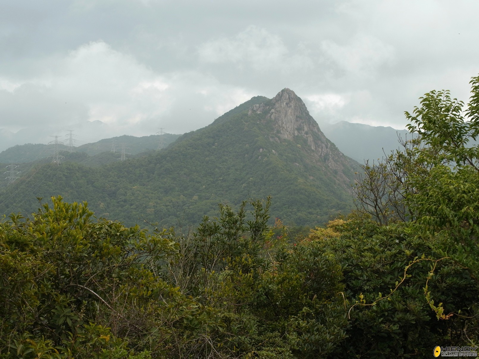 R0011475.jpg
