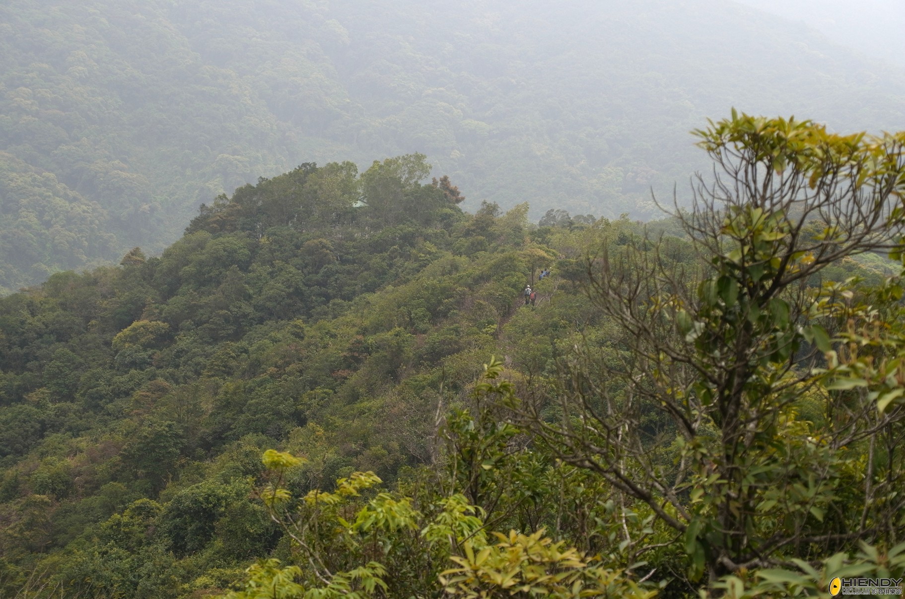 R0022611.jpg
