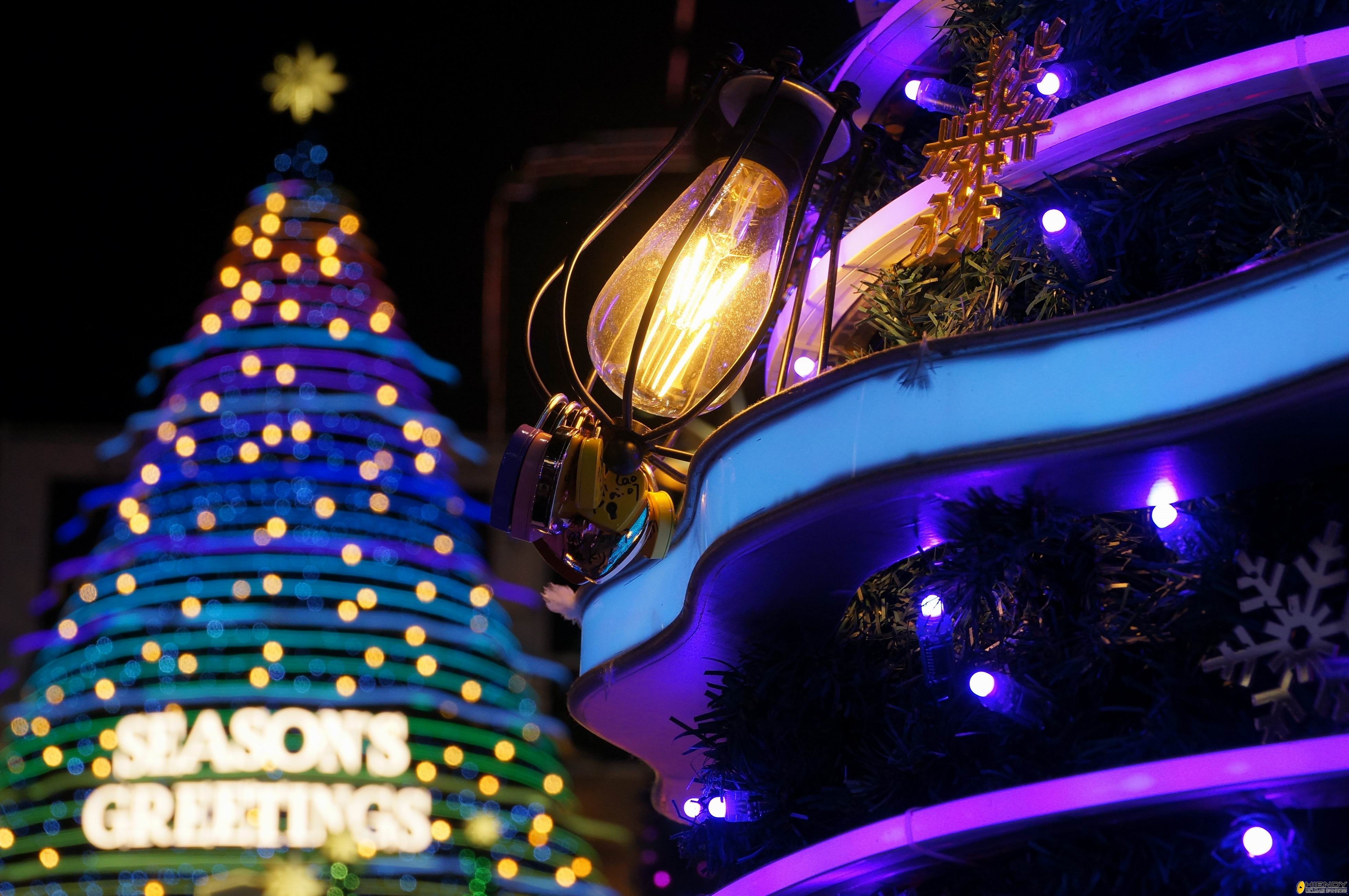 Resize of DSC06634.JPG