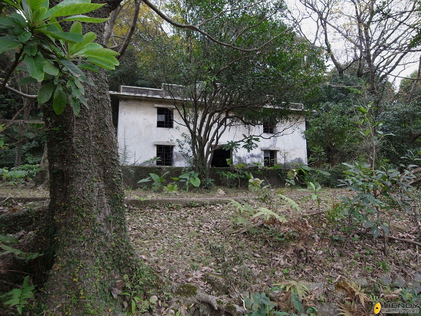 R0019325.jpg