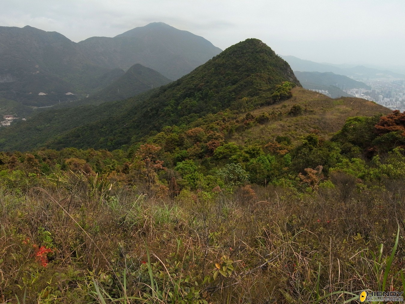 R0020255.jpg