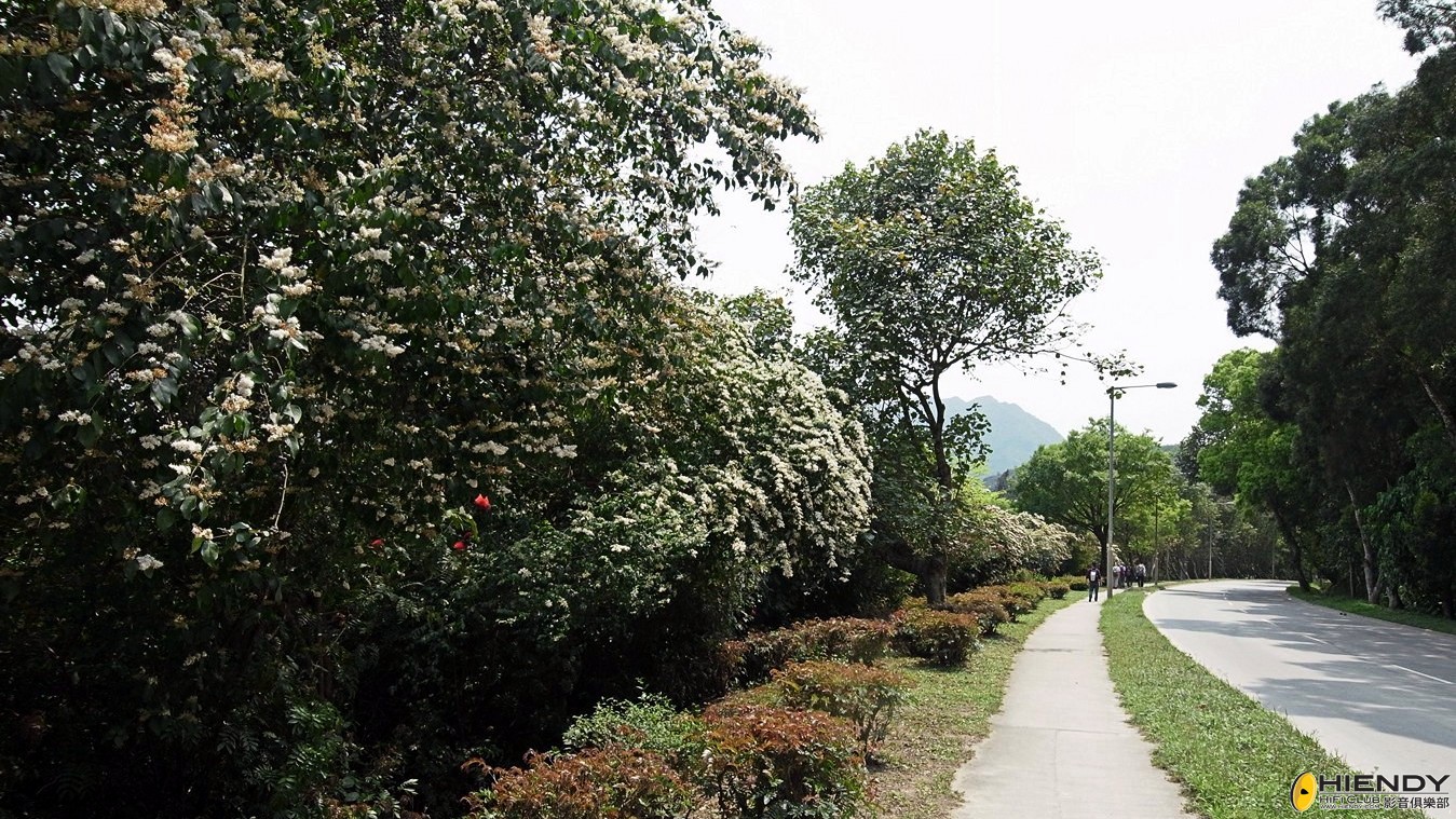 R0020290.jpg