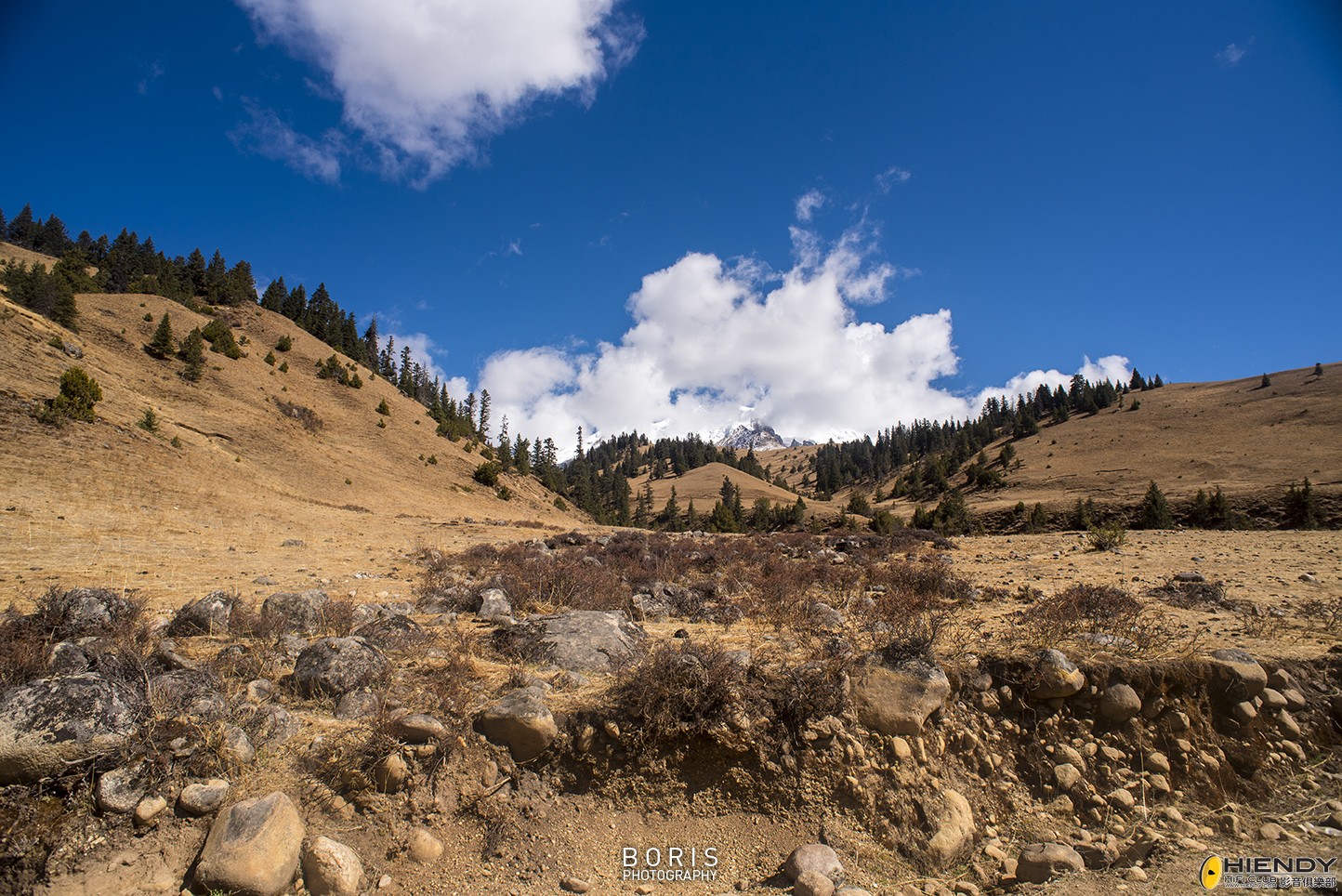 BEP_0655.jpg