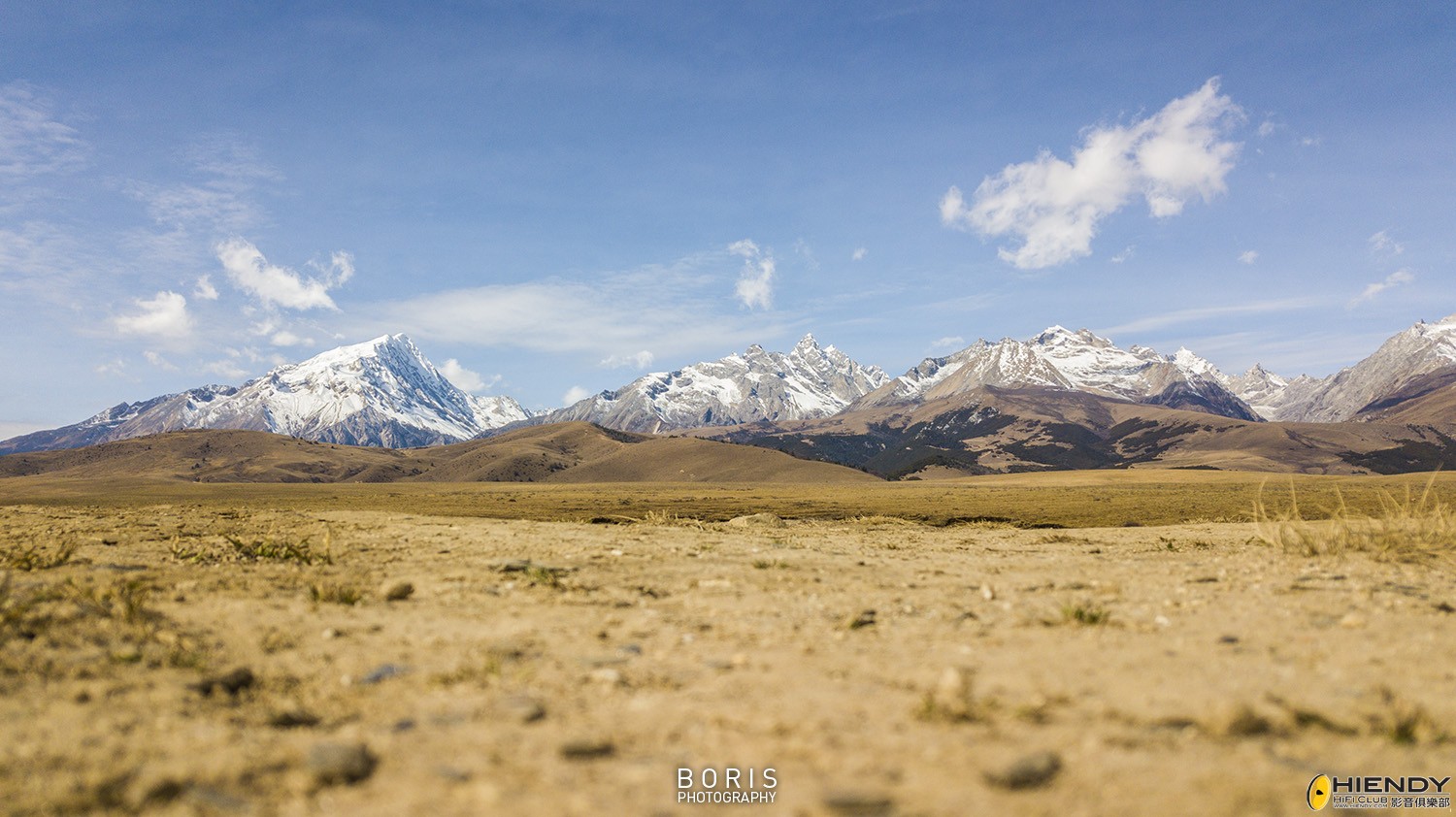 DJI_0203.jpg