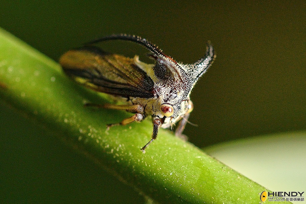 conew_cpc_1723_00001... copy.jpg