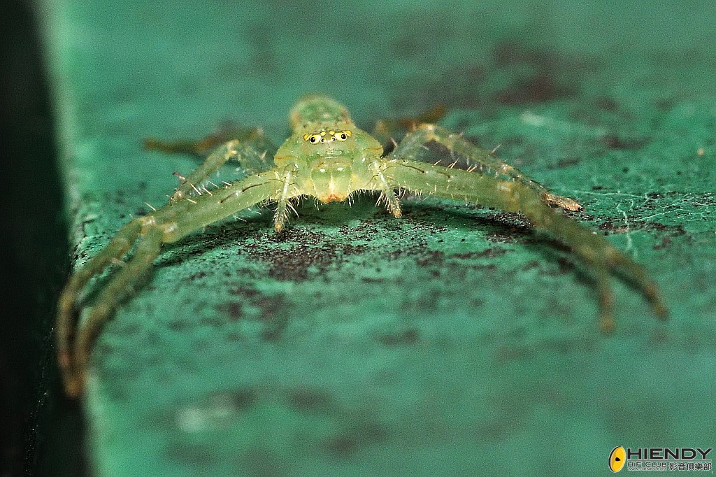 conew_cpc_2813_00001 copy.jpg