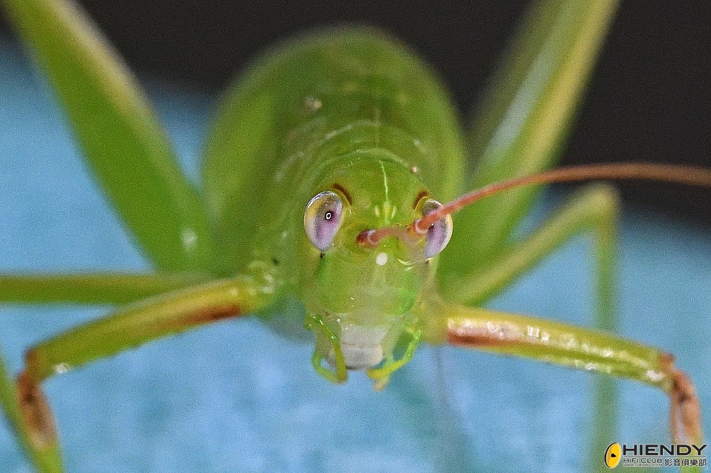 conew_cpc_2179_00001 copy.jpg