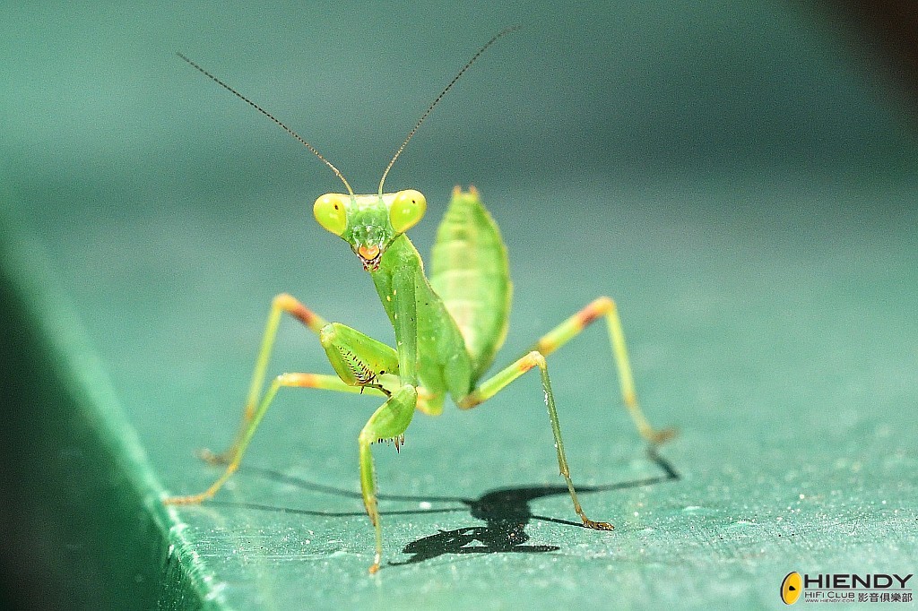 conew_cpc_2106_00001 copy.jpg