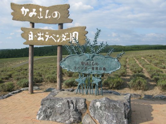 17.jpg