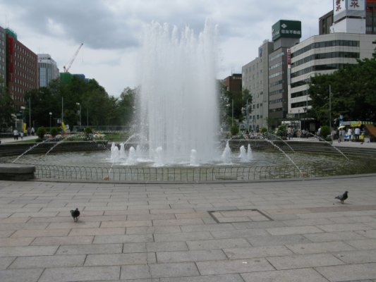 10.jpg
