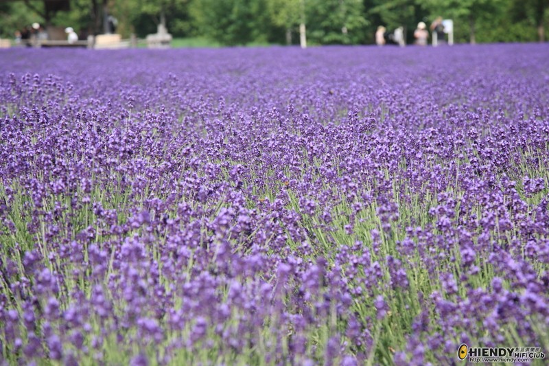 resize20004.JPG