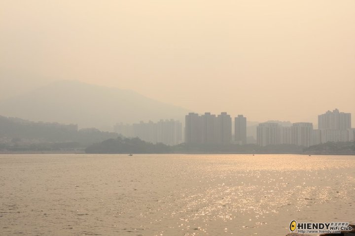 63048_438948473706_597908706_5039782_112043_n[1].jpg