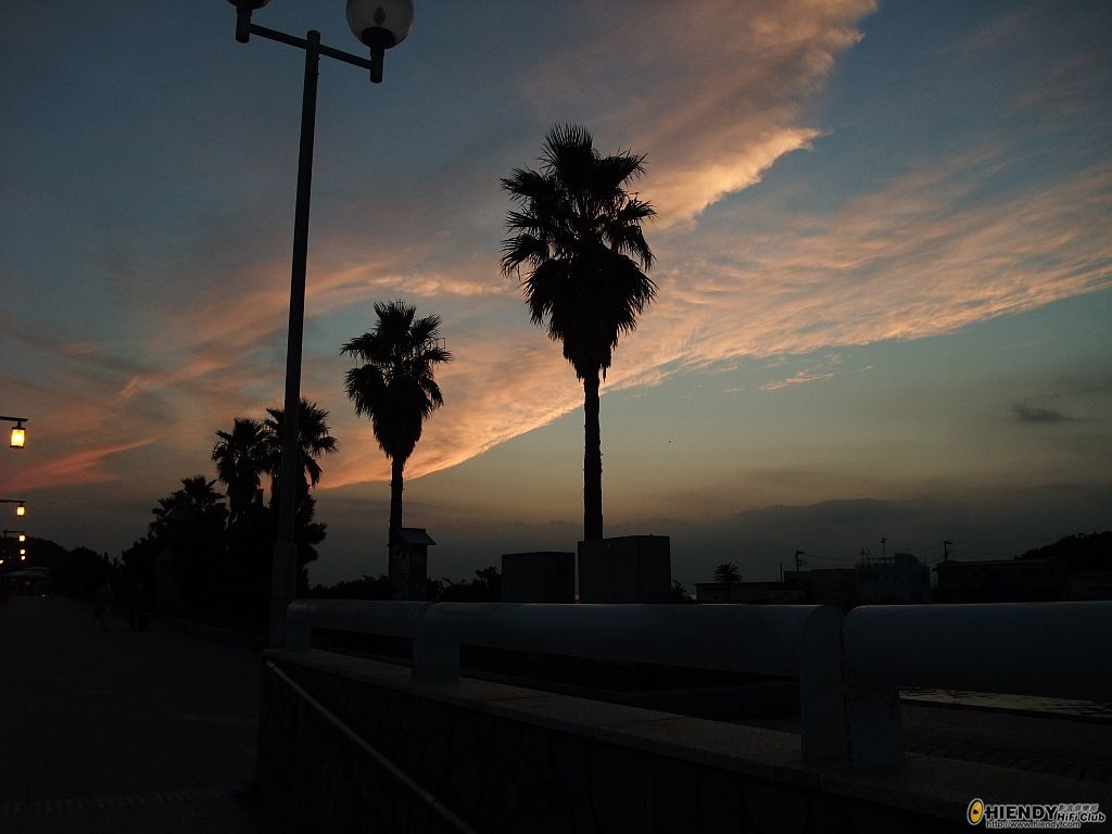 DSCF0803.JPG