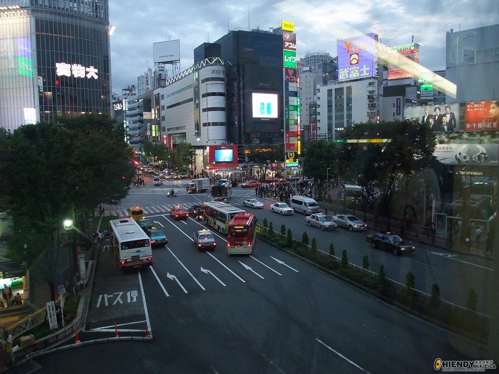 DSCF0250.JPG