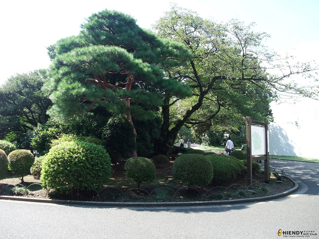 DSCF0893.JPG