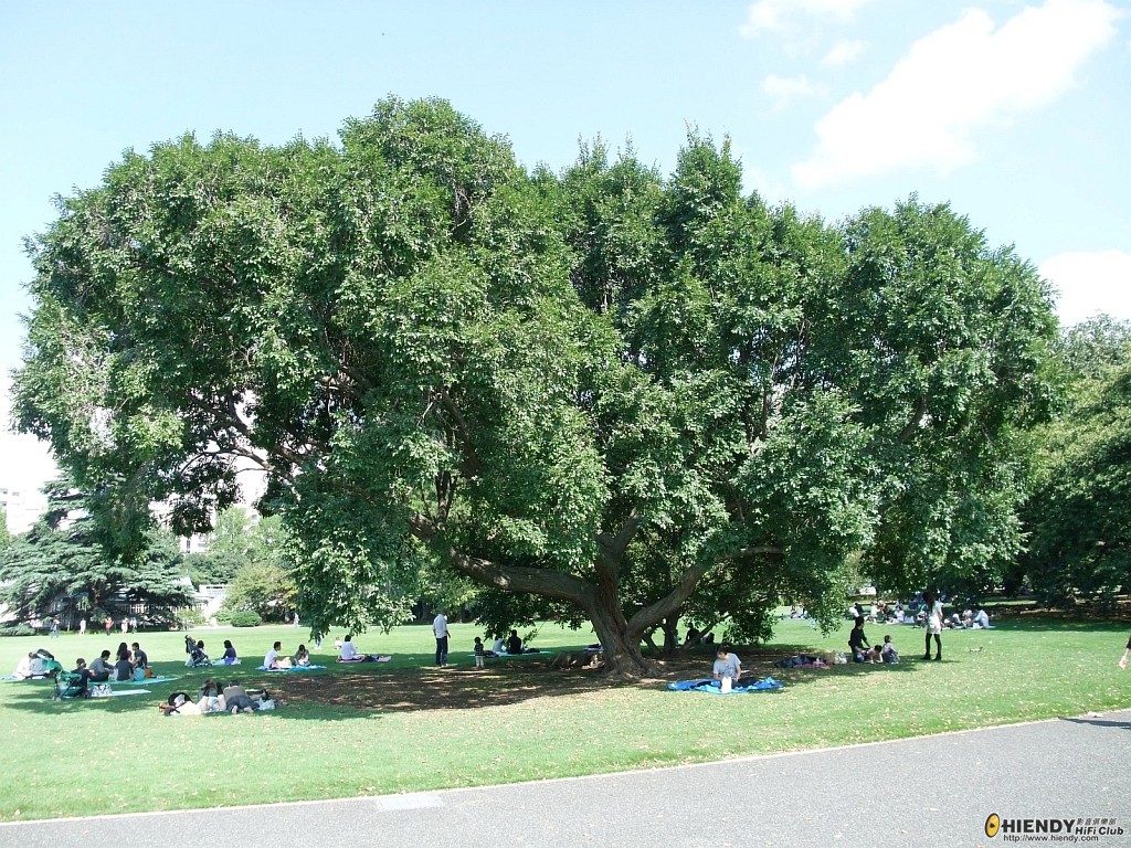 DSCF0921.JPG