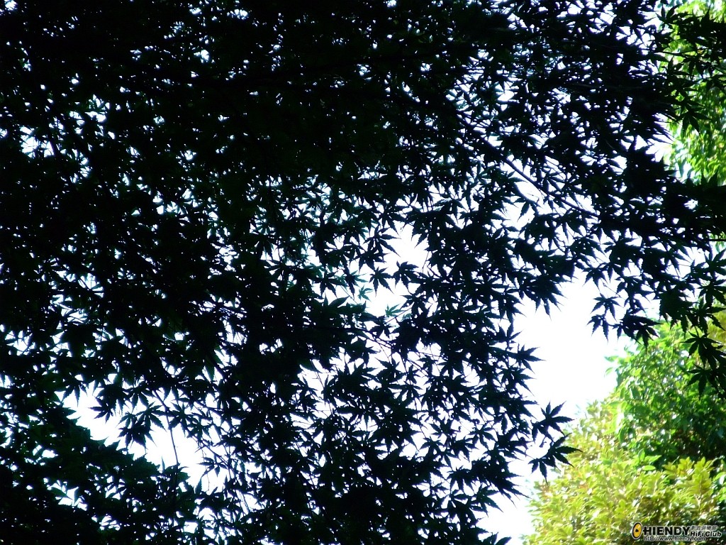 DSCF0932.JPG