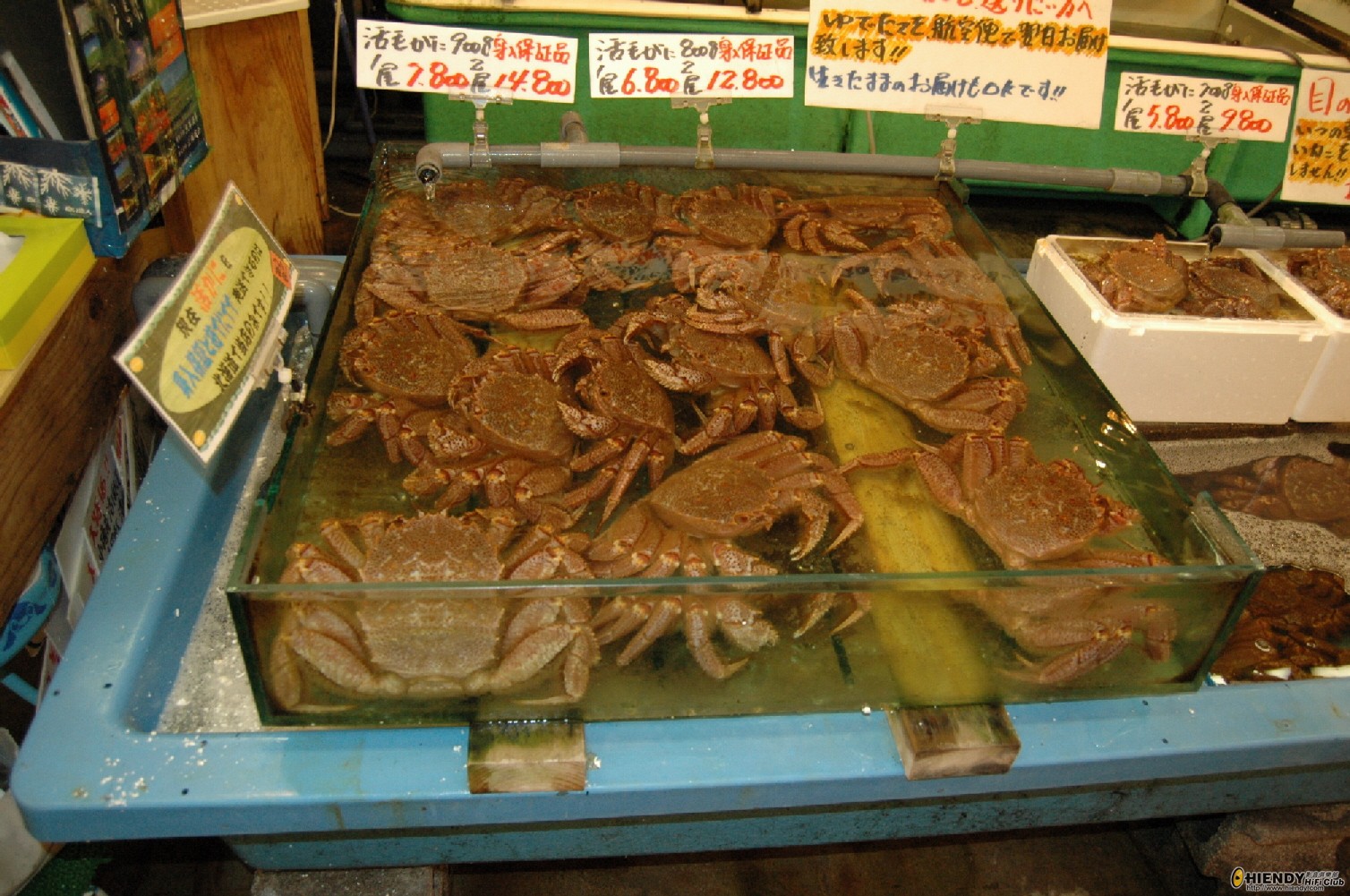 Resized_DSC_7468.JPG