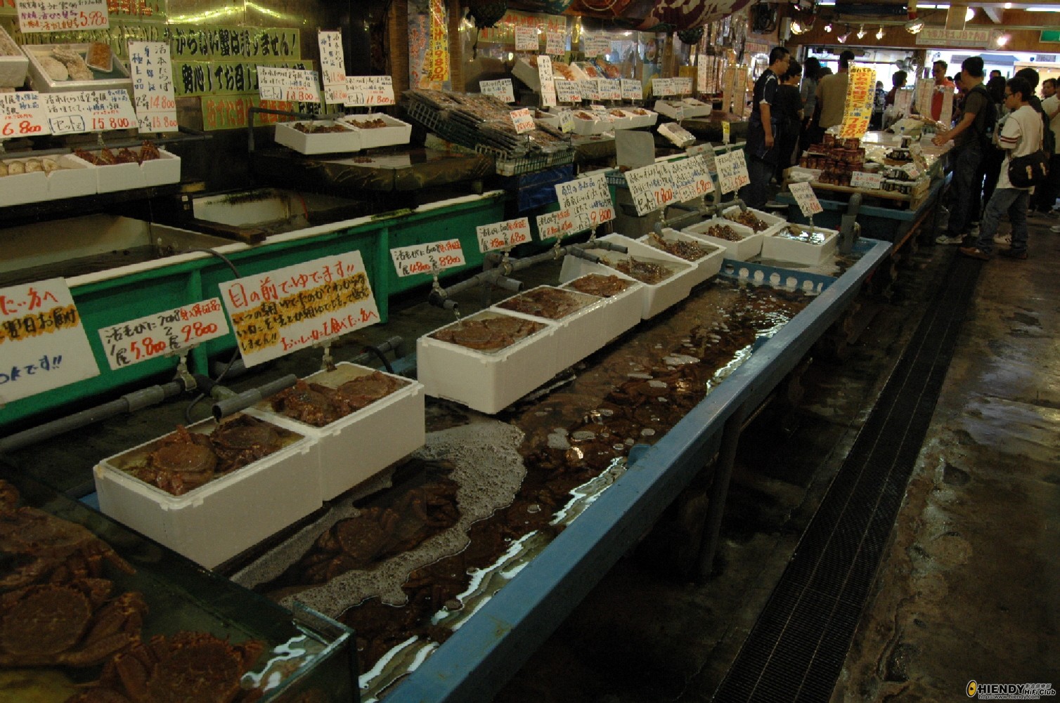 Resized_DSC_7469.JPG