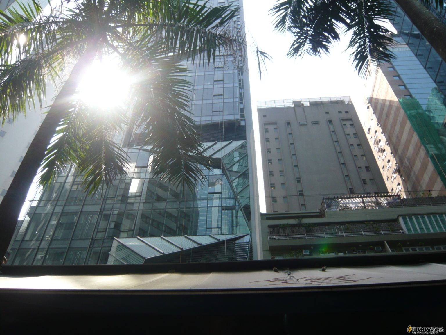 P1030152_s60.JPG