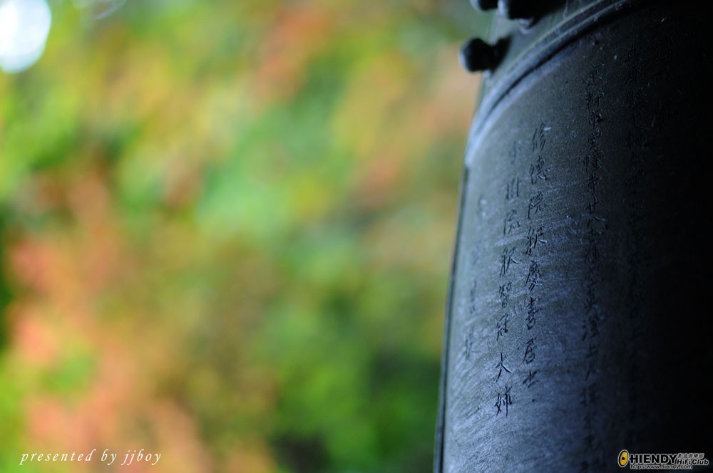 DSC_4619a.JPG