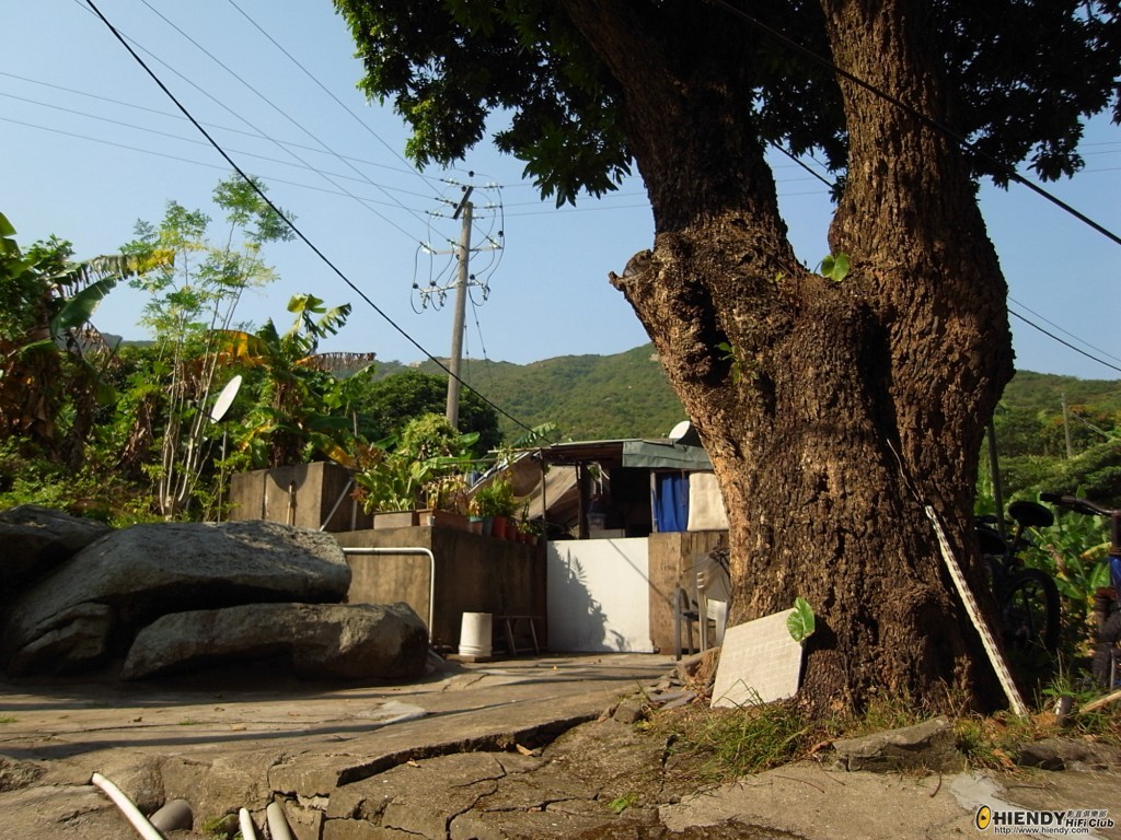 R0010468 [1024x768].JPG