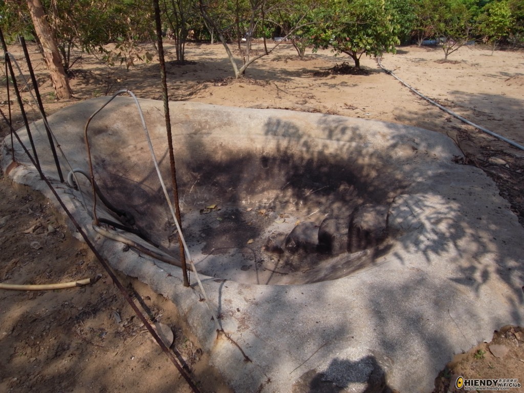 R0010638 [1024x768].JPG