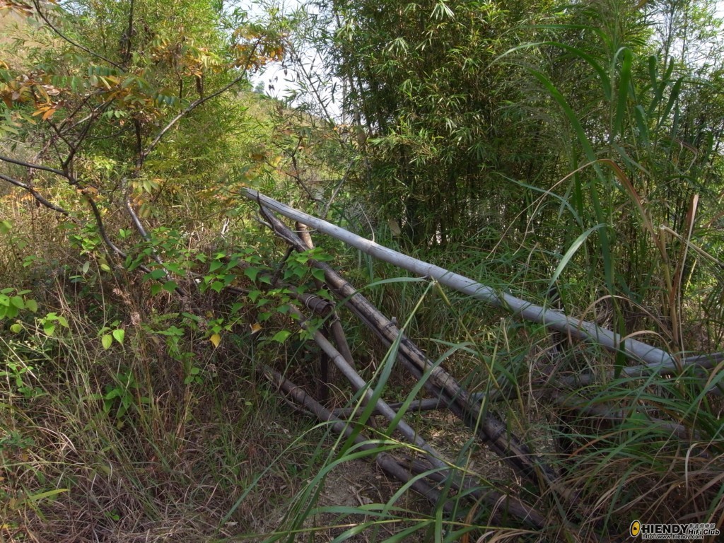 R0010652 [1024x768].JPG