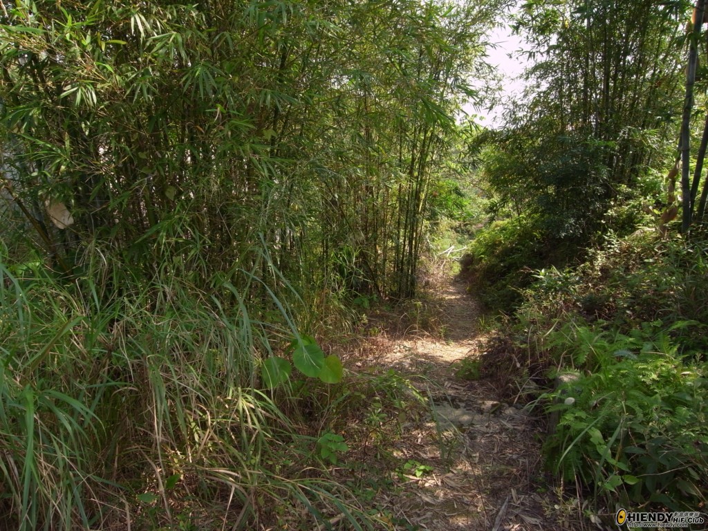 R0010653 [1024x768].JPG