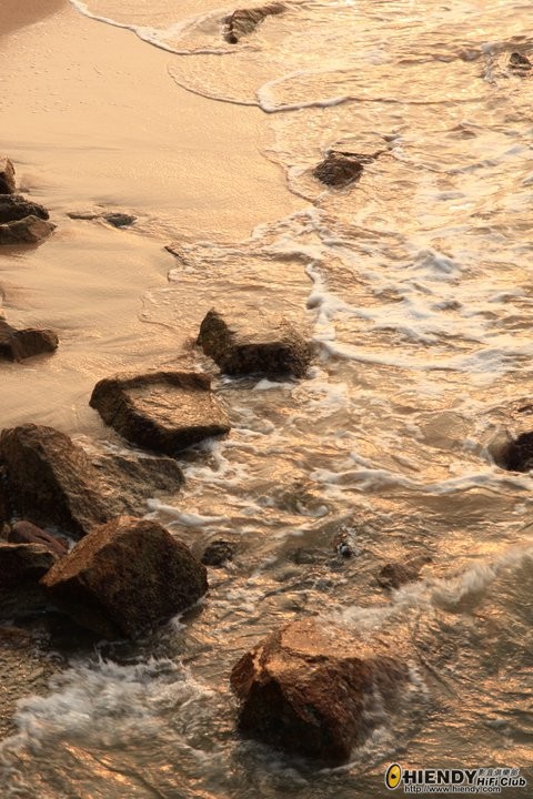 76992_467506558706_597908706_5523530_6462901_n[1].jpg