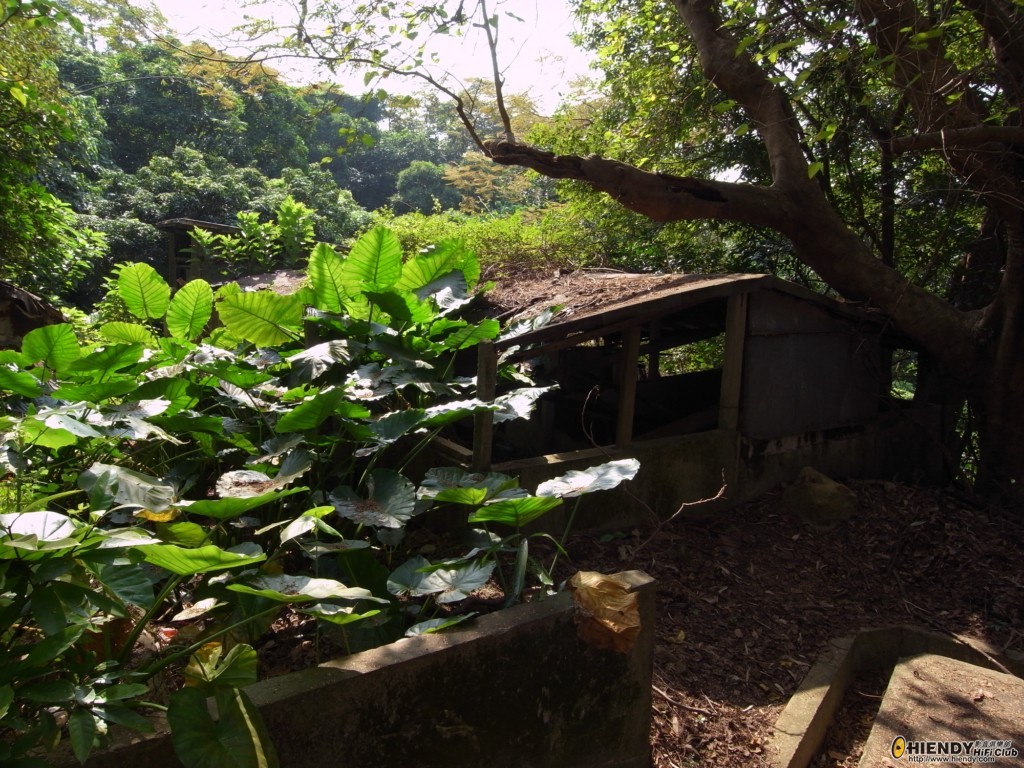 R0010659 [1024x768].JPG