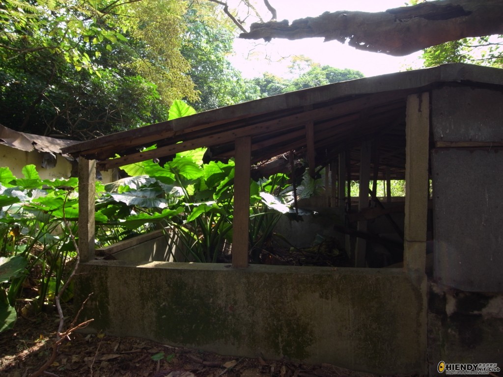 R0010660 [1024x768].JPG