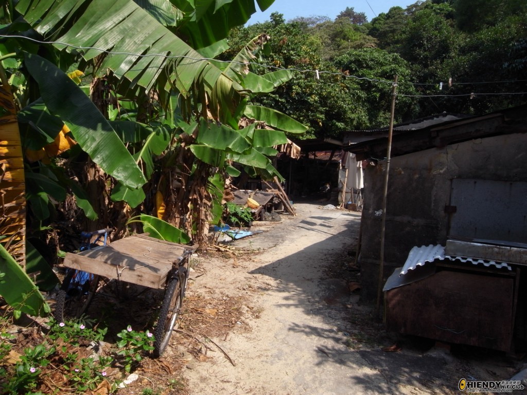 R0010672 [1024x768].JPG