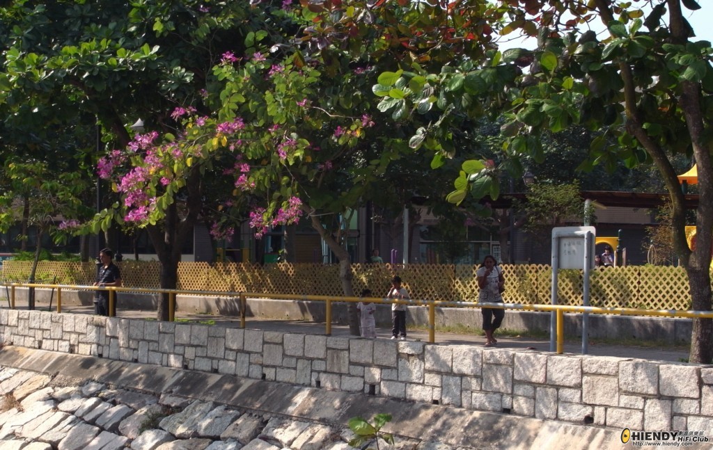 R0010754 [1024x768].JPG