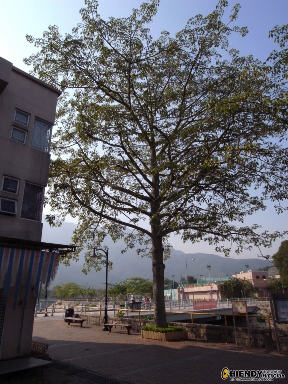 R0010775 [1024x768].JPG