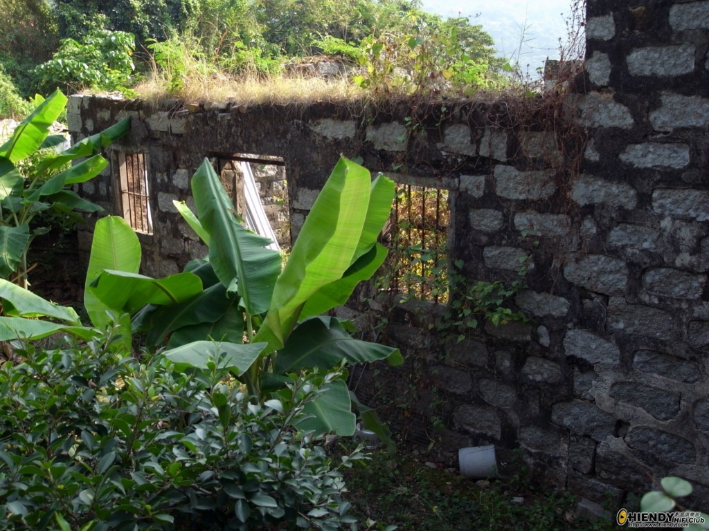 R0010784 [1024x768].JPG