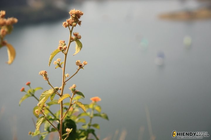 150318_471588753706_597908706_5582106_7685025_n[1].jpg