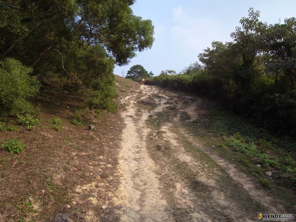 R0011090.JPG