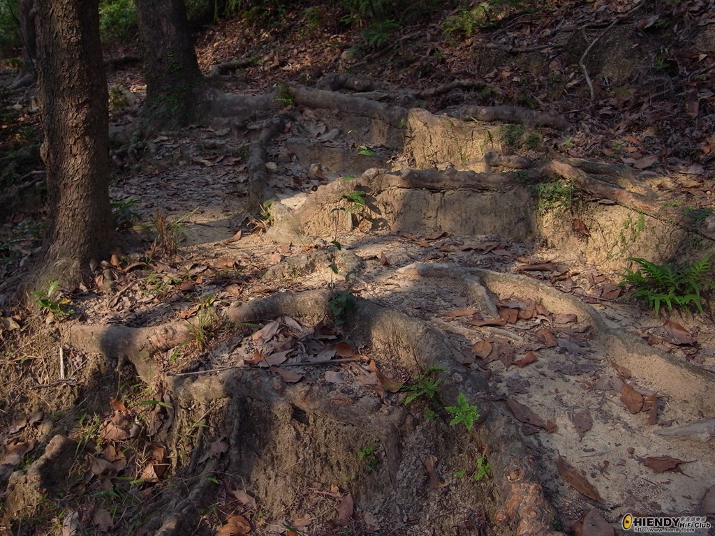 R0011103.JPG