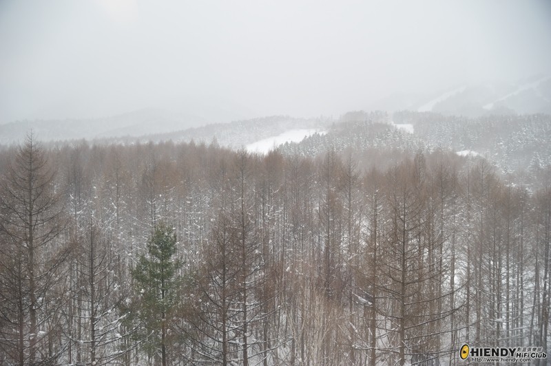 DSC_1232.JPG