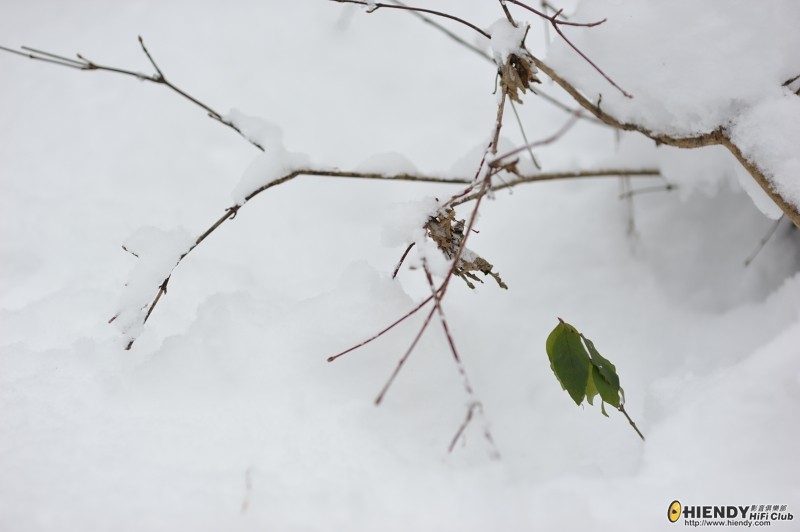DSC_1140.JPG