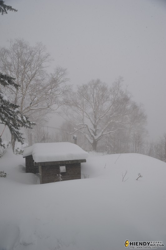 DSC_1234.JPG