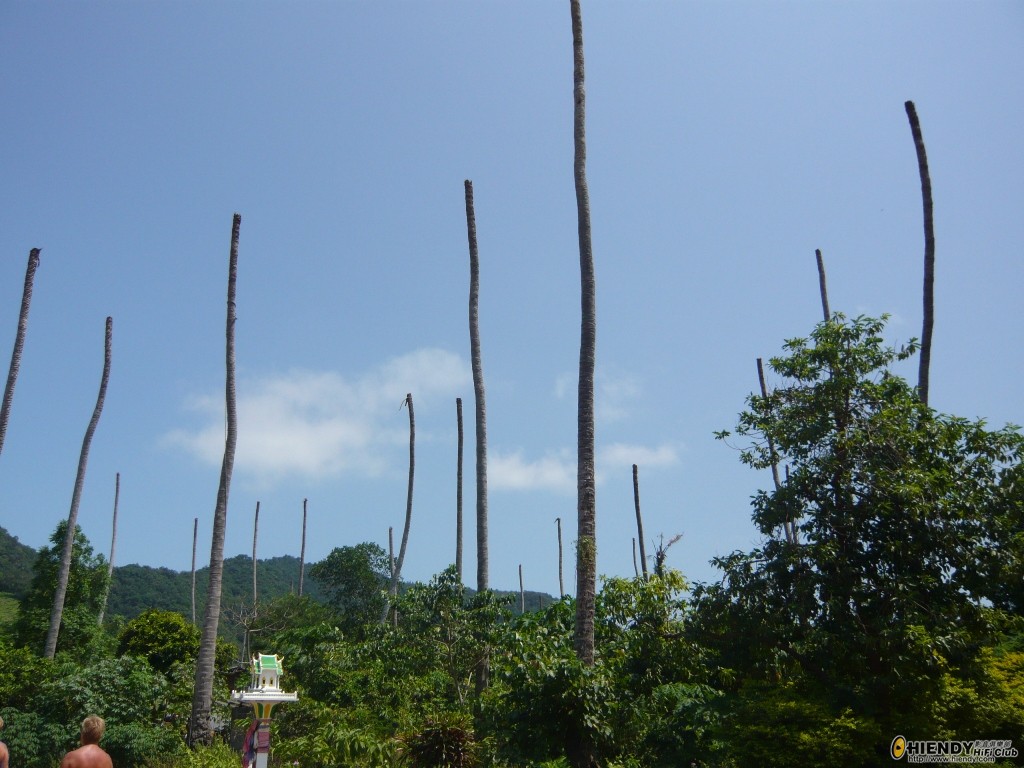 P1030288_s44.JPG