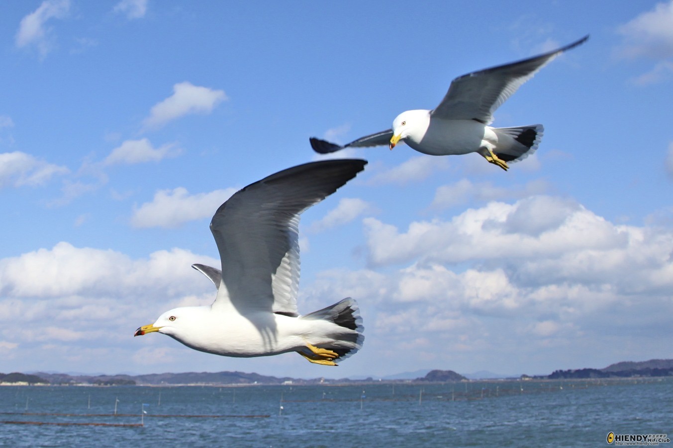 IMG_1698 - Version 2.jpg