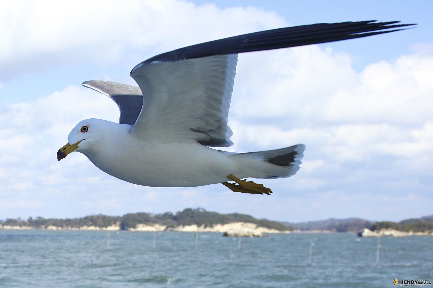 IMG_1621 - Version 2.jpg