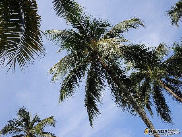 DSC_8332.jpg